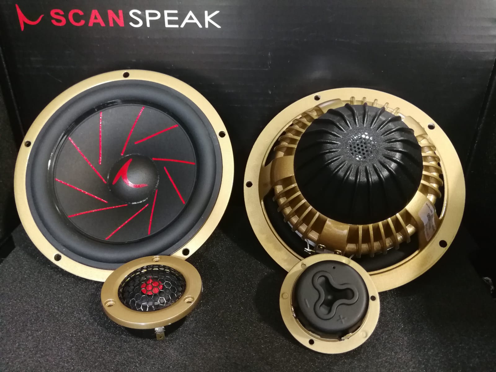 Scanspeak r3004/602005+16w4538g05