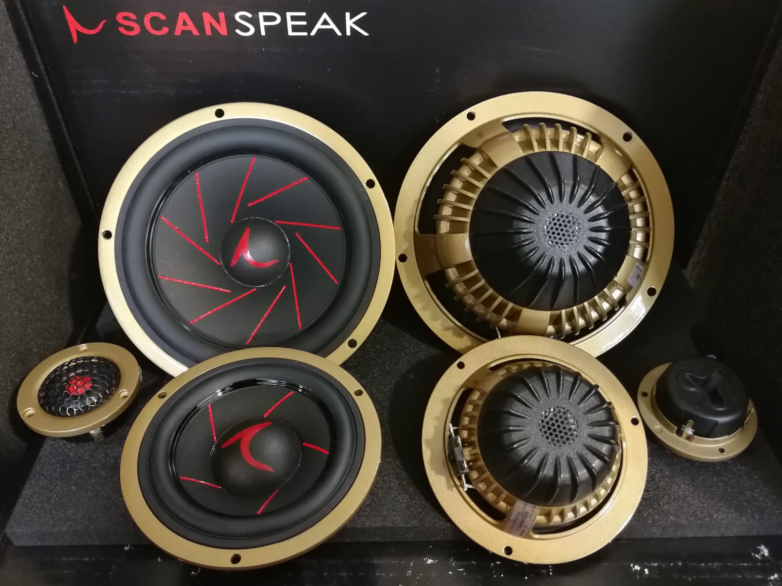 Scanspeak r3004/602005 11m/4631g05 16w/4538g05