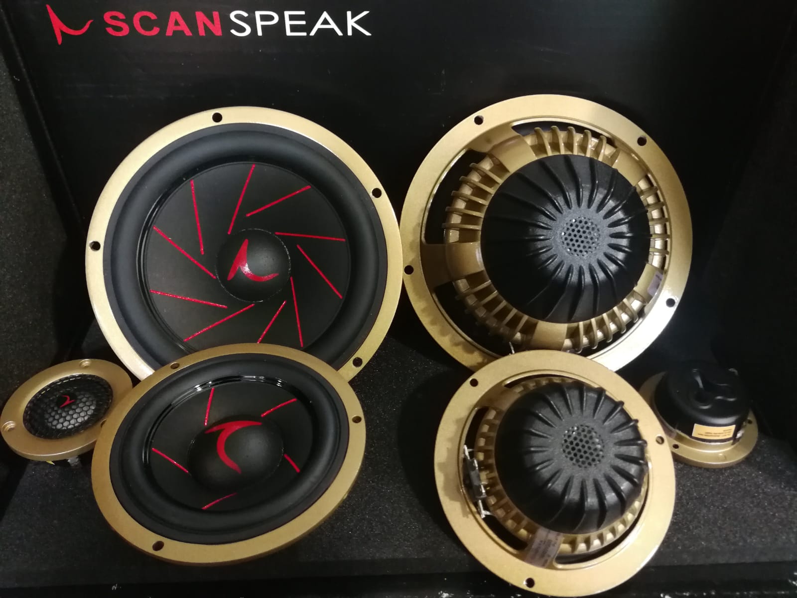 scanspeak gold  d3004/604005 11m/4631g05 16w/4538g05